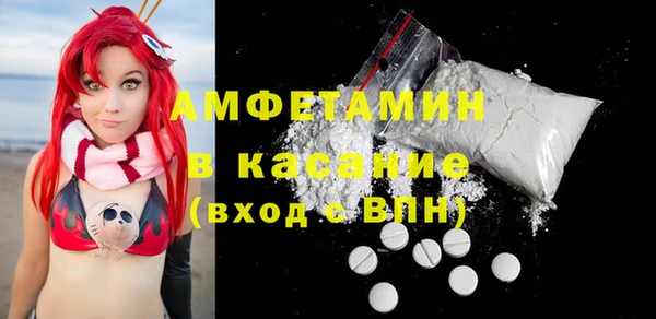 шишки Белоозёрский
