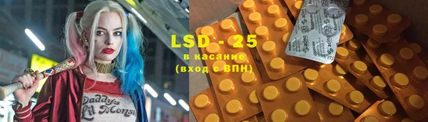 крисы Бронницы