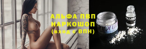 крисы Бронницы