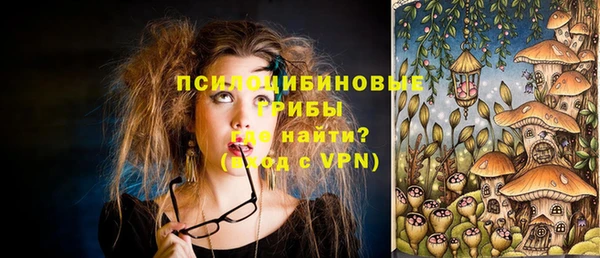 гашик Бородино