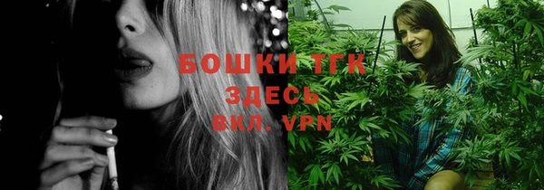гашик Бородино