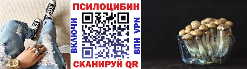 Галлюциногенные грибы мухоморы  Верхняя Тура 